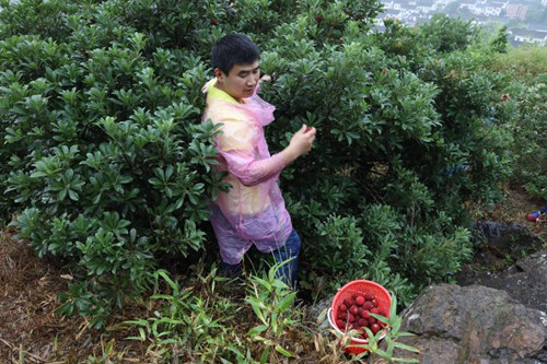 1545187214279625.jpg 說(shuō)明: 徐茂來(lái)