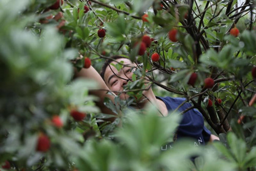 1545187215202724.jpg 說(shuō)明: 林建明